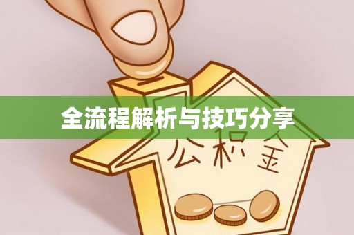 乐业全流程解析与技巧分享