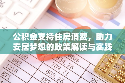 乐业公积金支持住房消费，助力安居梦想的政策解读与实践